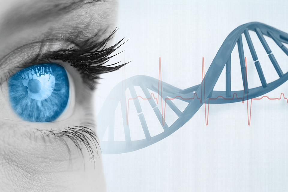 Terapia genética ocular